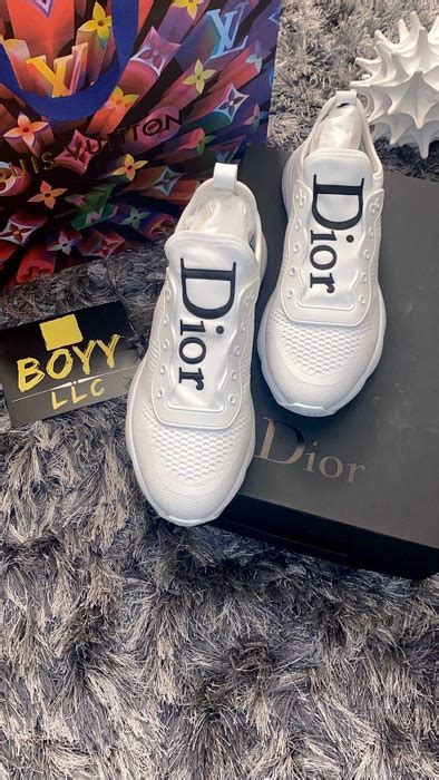 dior b21 neo price.